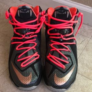 Men’s Nike LeBron shoes